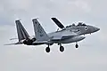 Zweisitzige F-15D Eagle Baz der 106. Staffel „Edge Of The Spear“ auf Tel Nof, August 2019