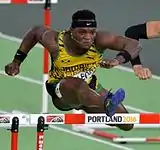 Omar McLeod wurde&nbsp;Sechster
