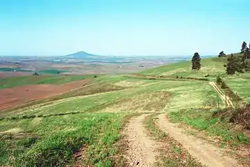 Der Steptoe Butte vom McCroskey State Park aus