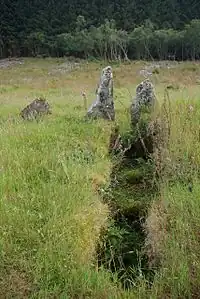 Meallach’s Grave