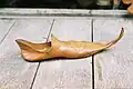 Schnabelschuh