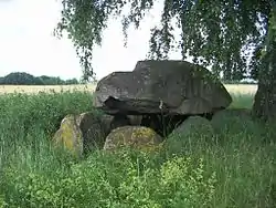 Das Großsteingrab Damerow 2