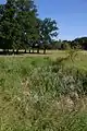 Bachversickerung „Am Wadenpohl“