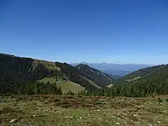 Blick von der Nordostflanke des Lärchkogels durch den Weitentalgraben nach Norden. Links Melkboden und Zechneralm, im Hintergrund die  Eisenerzer Alpen.