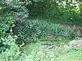 Hasequelle im Stadtteil Wellingholzhausen