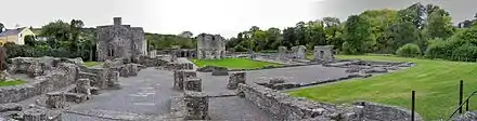 Mellifont Abbey (2006)