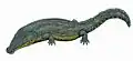 Melosaurus platyrhinus