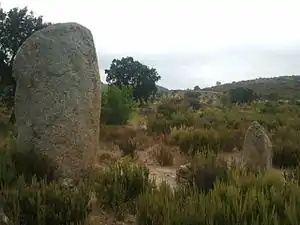 Menhire de la Murtra