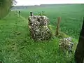 Reste des Menhirs Saint-Maerin