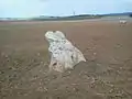 Menhir La Pierre-au-coq