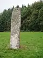Menhir „Pierre Fitte“