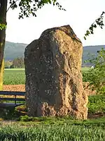 Der Menhir von Ober-Mörlen