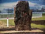 Menhir von Derenburg