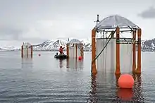Mesokosmen in Spitzbergen