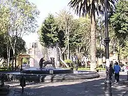 Kojoten-Brunnen im Jardín Centenario