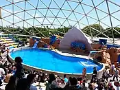 Golden Dome