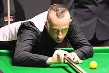 Michael Wild
