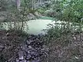 Unterer Teich