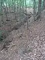 Wie natürlich