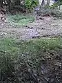 Kein Durchlass