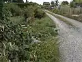 Quelle und Tümpel