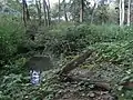 Am Auslass RÜ