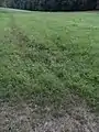 Zufluss aus der Au