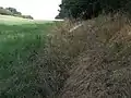 Quellen-Lage