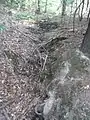 Versickerung