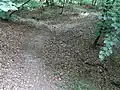 Trocken am Weg