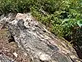 Mineralienreicher Felsbrocken am steilen Südhang