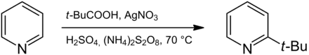 Synthese von 2-tert-Butylpyridin