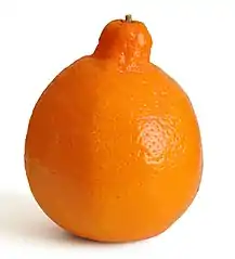 Minneolafrucht