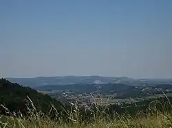 Мионица
