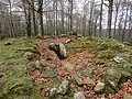 Dolmen