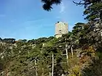 Föhrenberge