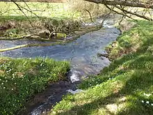des Mohrenbachs,