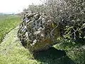 Menhir Accomodement