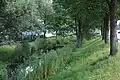 An der Hörstener Straße im Phoenix-Viertel