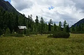 Im Moosboden