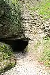Portal