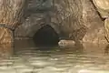 Wasserstand bei 50&nbsp;cm rund 50&nbsp;m hinter dem Zugang