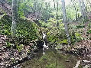 Einer der kleinen Wasserfälle des Morgenbachs