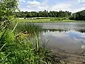 Morgetshofsee