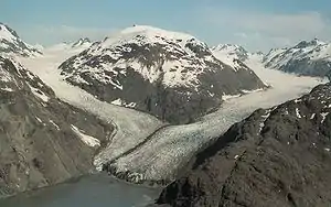 Muir-Gletscher (rechts) und Morse-Gletscher im Jahr 1994