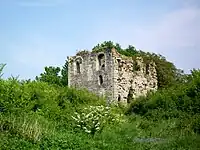 Turm von Montmélian