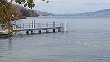 Am Hallwilersee, Mosen LU