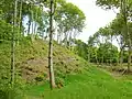 Wallburg Les Bourgs Heussais