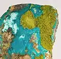 Mottramit (grünlichgelb) und Chrysokoll (bläulich) aus der Long Chance & Vanelmart Mine, Mono County, Kalifornien, USA (Gesamtgröße: 8,0 × 3,0 × 3,4&nbsp;cm)