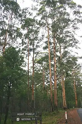 Mount-Frankland-Nationalpark